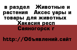  в раздел : Животные и растения » Аксесcуары и товары для животных . Хакасия респ.,Саяногорск г.